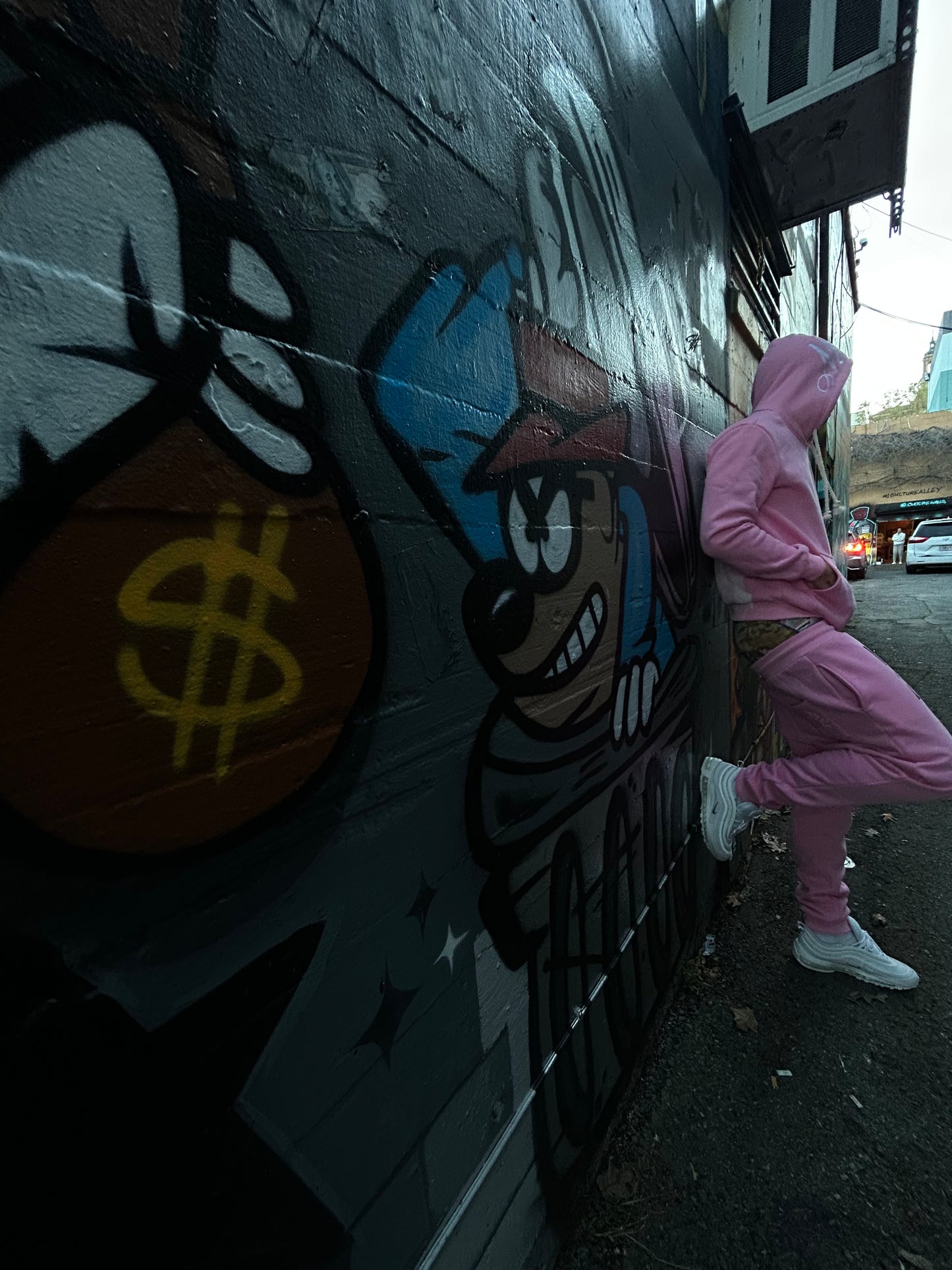 Pink Moneycrazy Sweatsuit Top & Bottom